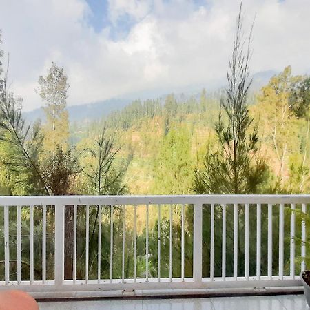 Delvia Bromo Homestay Mitra Reddoorz Пасуруан Экстерьер фото